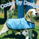 Dog Cooling Vest