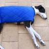 Greyt
