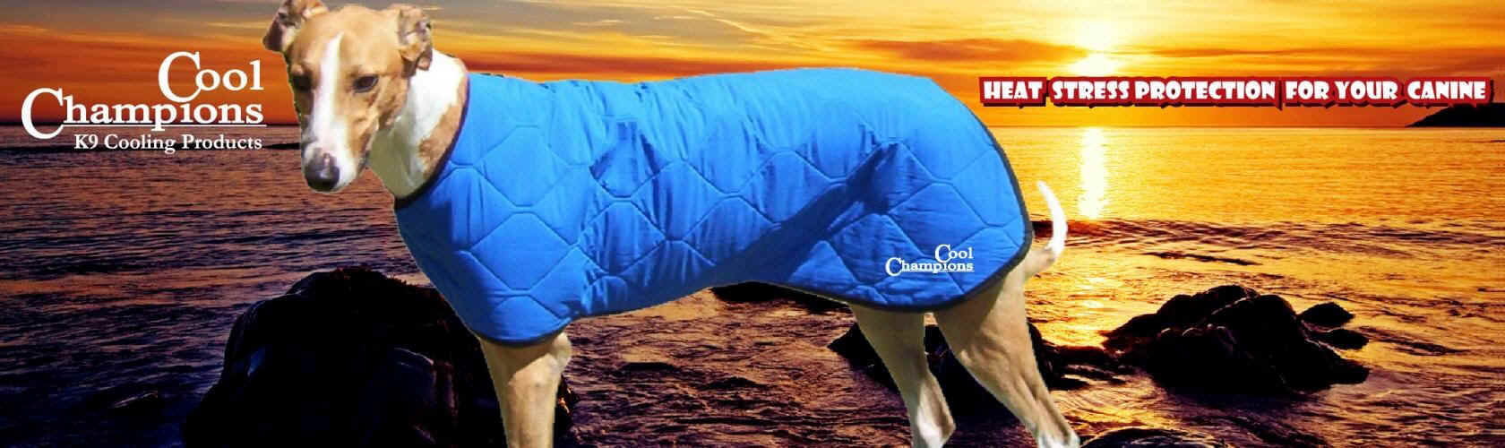 Canine Cooling Vest Cool Champions